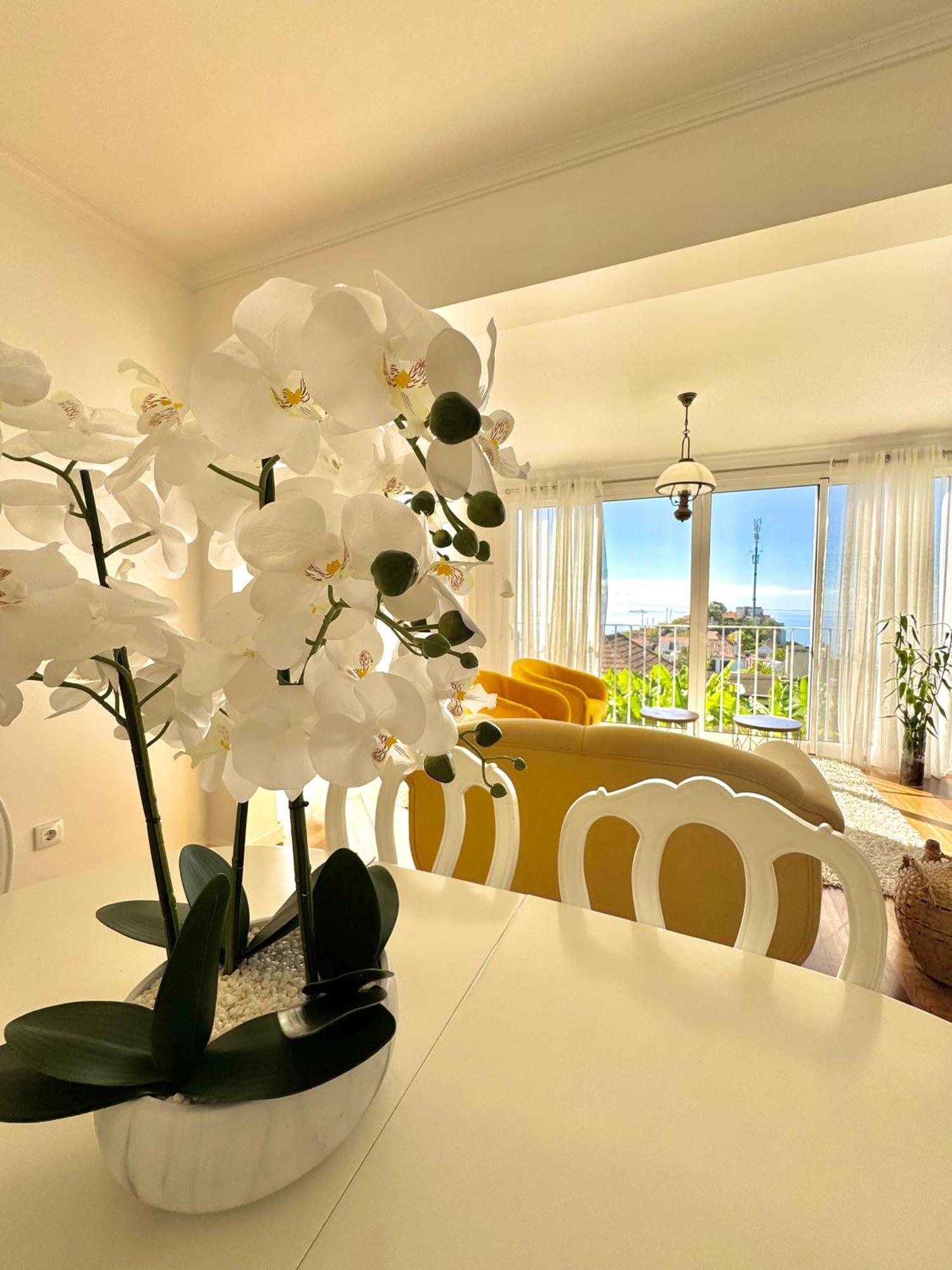 A Velha Casa Caboz Apartment Ponta do Sol  Luaran gambar